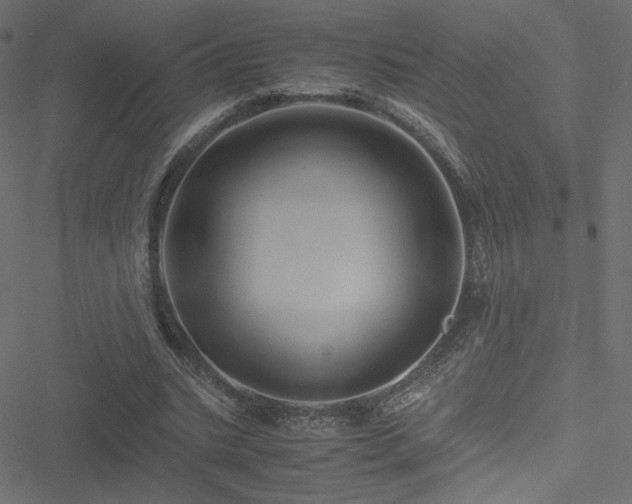 X0000051250535200506171138