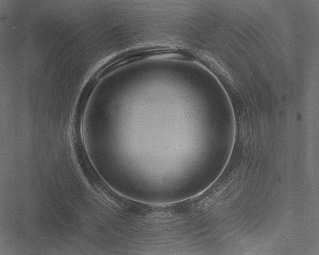 X0000051250536200506171138