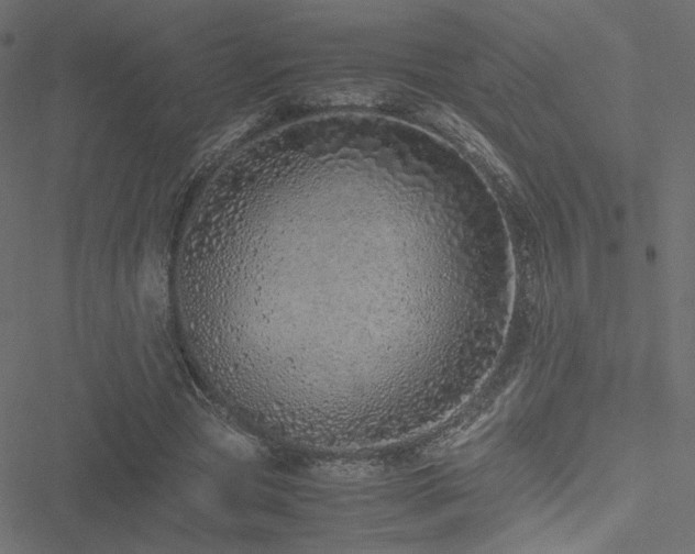 X0000051250537200506171138