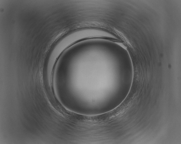 X0000051250538200506171138