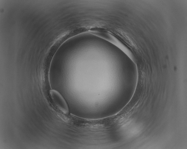 X0000051250539200506171138