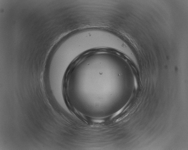 X0000051250540200506171138