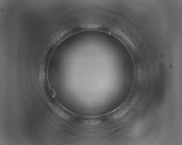 X0000051250541200506171138