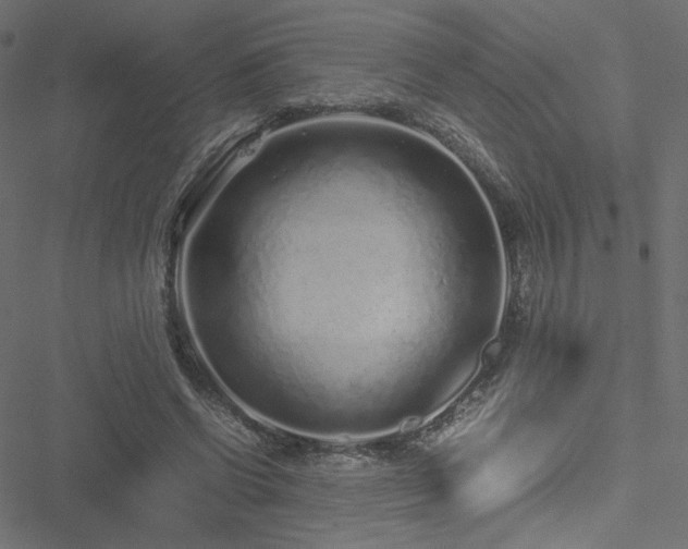 X0000051250542200506171138