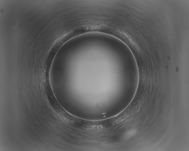 X0000051250543200506171138