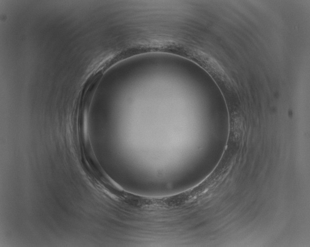 X0000051250544200506171138