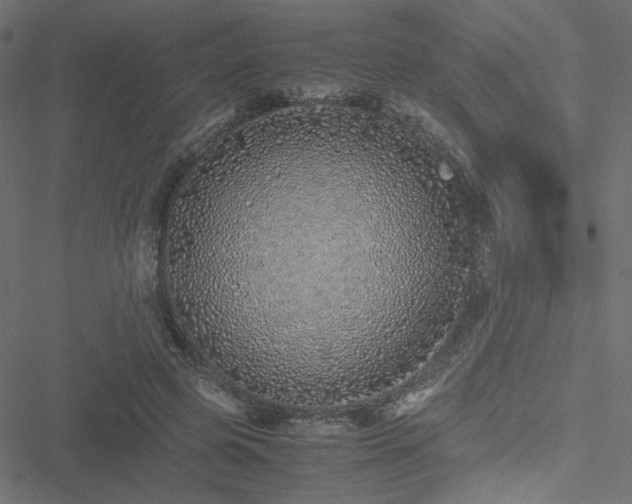 X0000051250545200506171138