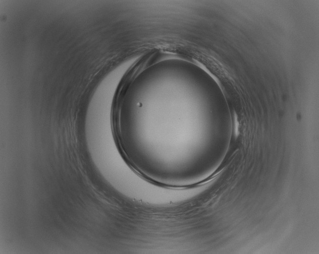 X0000051250546200506171138