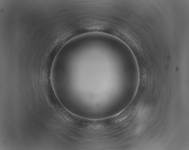 X0000051250547200506171138