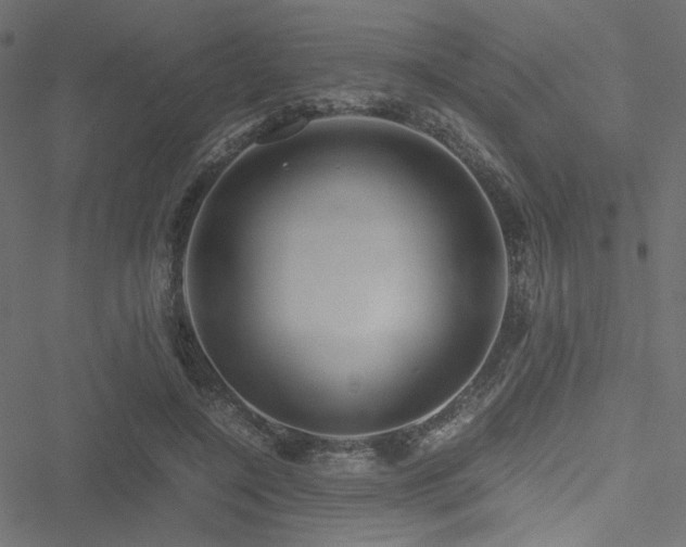 X0000051250548200506171138