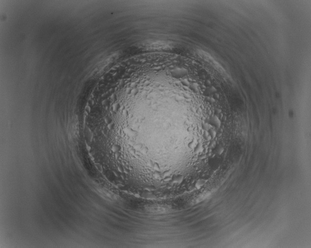 X0000051250549200506171138