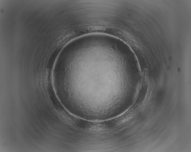 X0000051250550200506171138