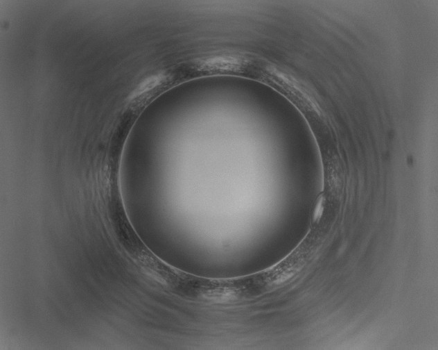 X0000051250551200506171138