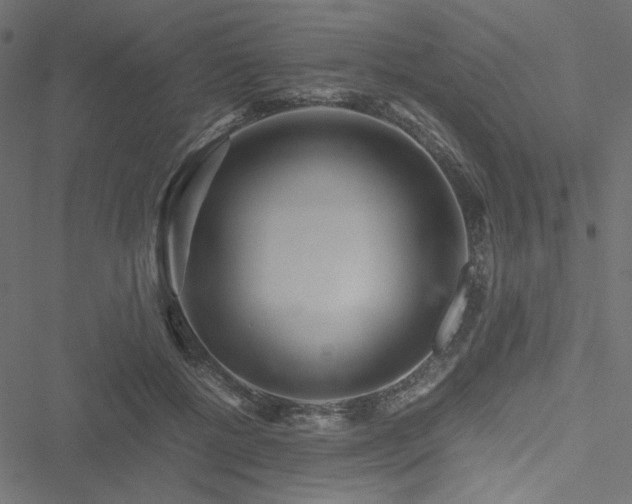 X0000051250552200506171138