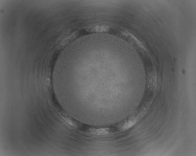 X0000051250553200506171138