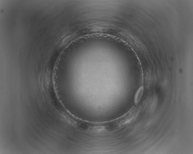 X0000051250554200506171138