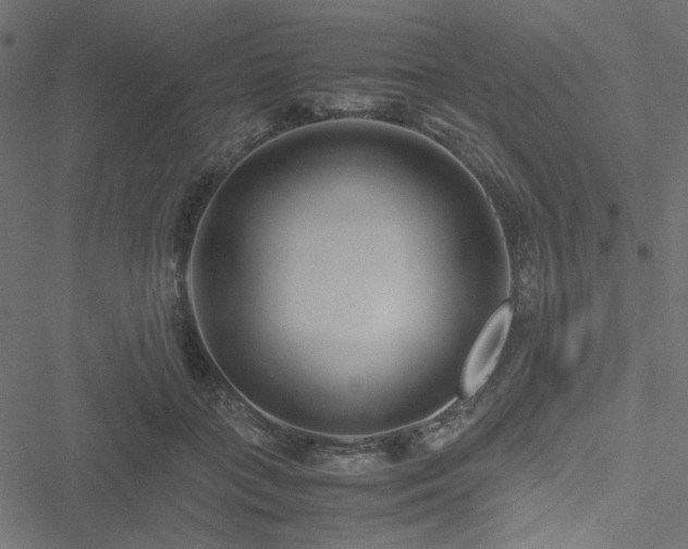 X0000051250555200506171138