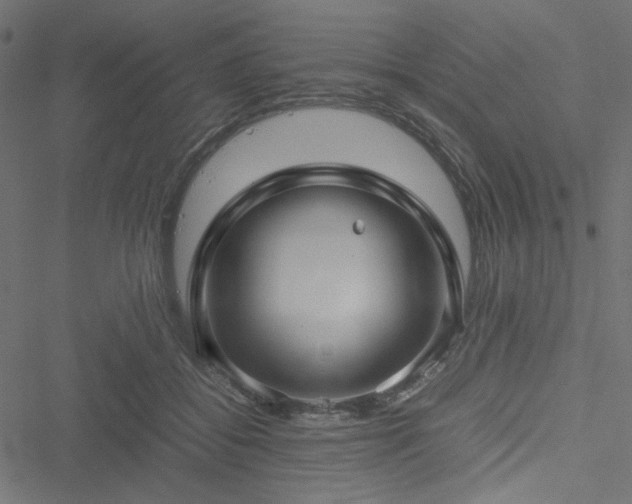 X0000051250556200506171138