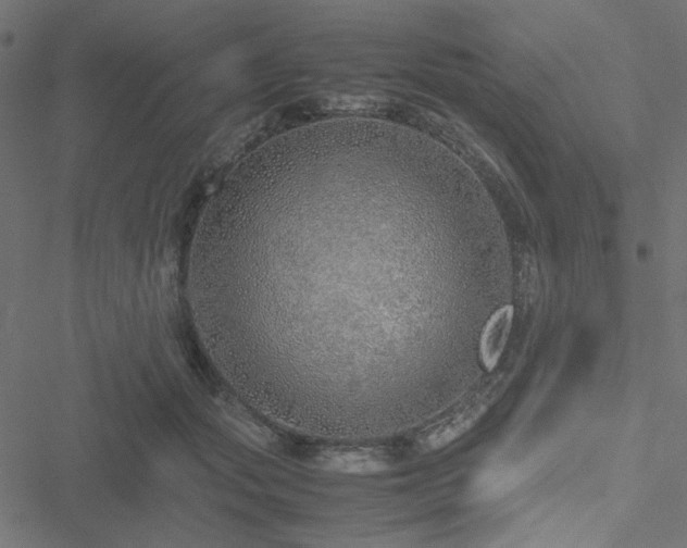 X0000051250557200506171138