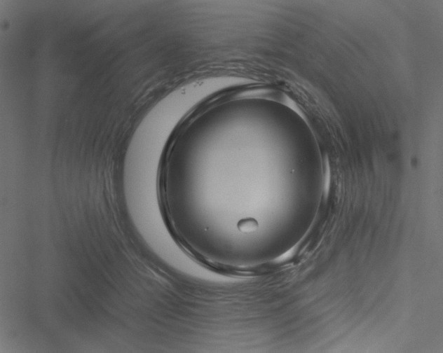 X0000051250558200506171138