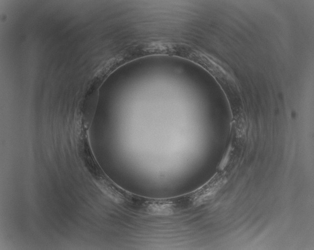 X0000051250560200506171138