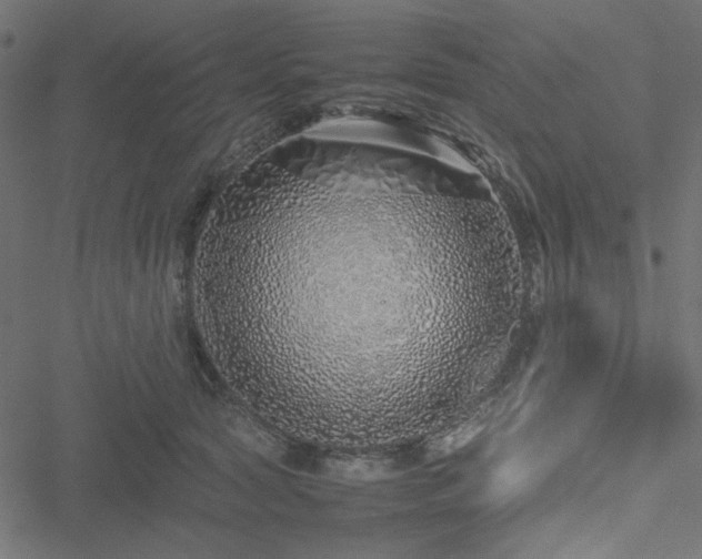 X0000051250561200506171138