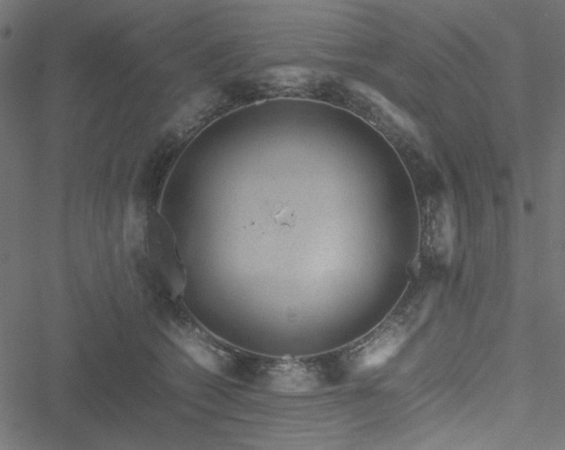 X0000051250562200506171138