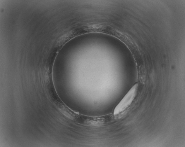 X0000051250563200506171138