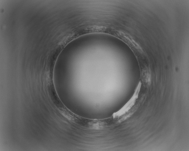 X0000051250564200506171138