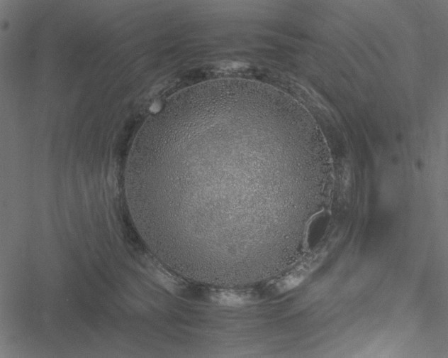 X0000051250565200506171138