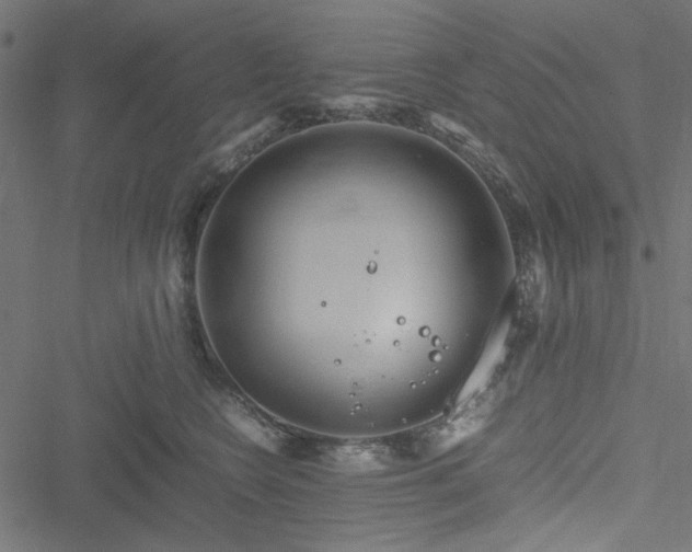 X0000051250566200506171138