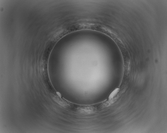 X0000051250567200506171138