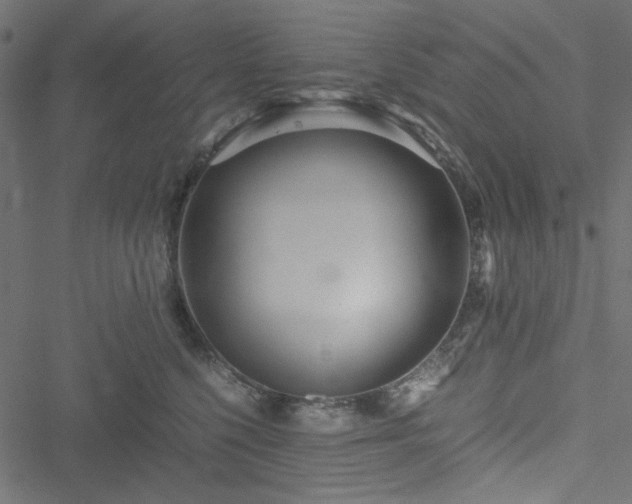 X0000051250568200506171138