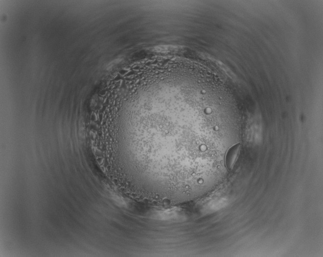 X0000051250569200506171139