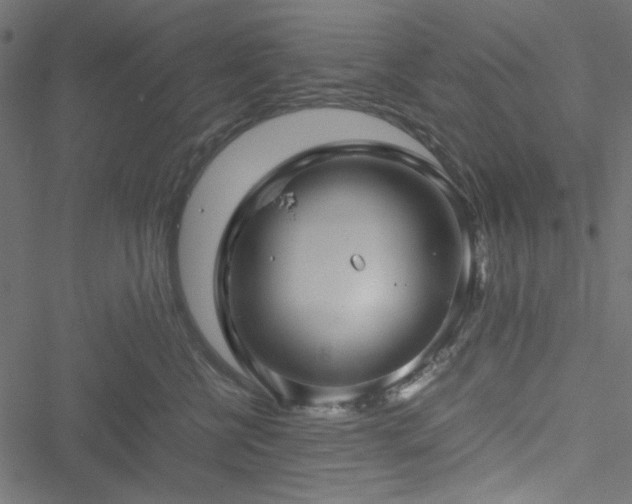 X0000051250570200506171139