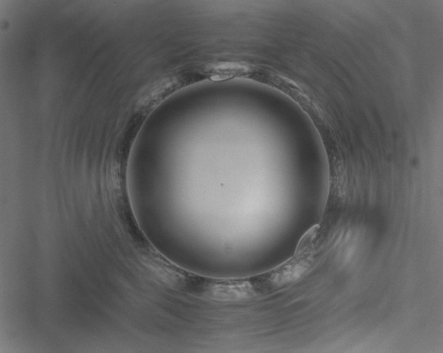 X0000051250571200506171139