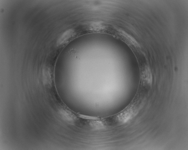 X0000051250572200506171139