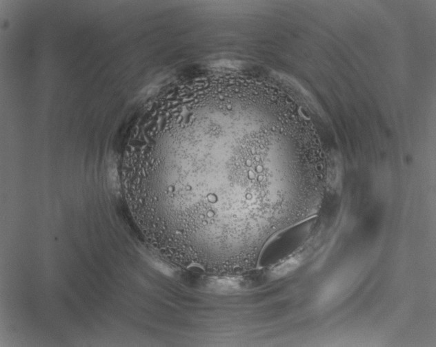 X0000051250573200506171139