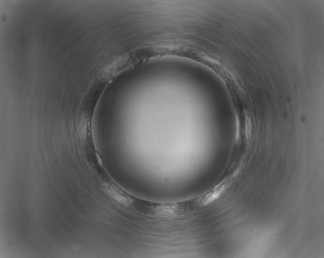 X0000051250574200506171139