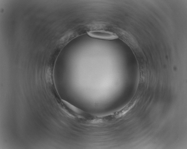 X0000051250575200506171139