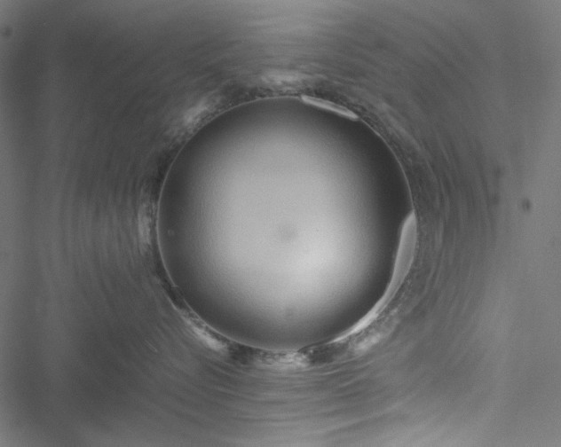 X0000051250576200506171139