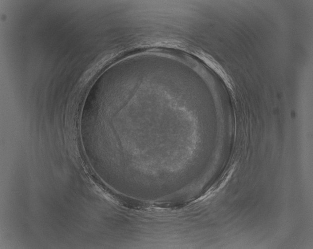 X0000051250577200506171138