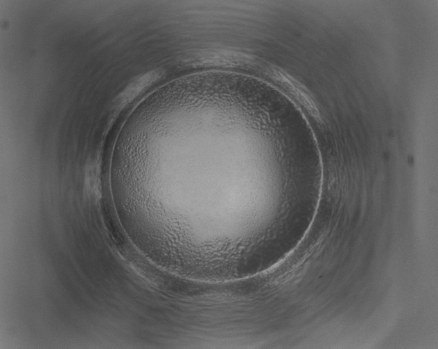 X0000051250578200506171138