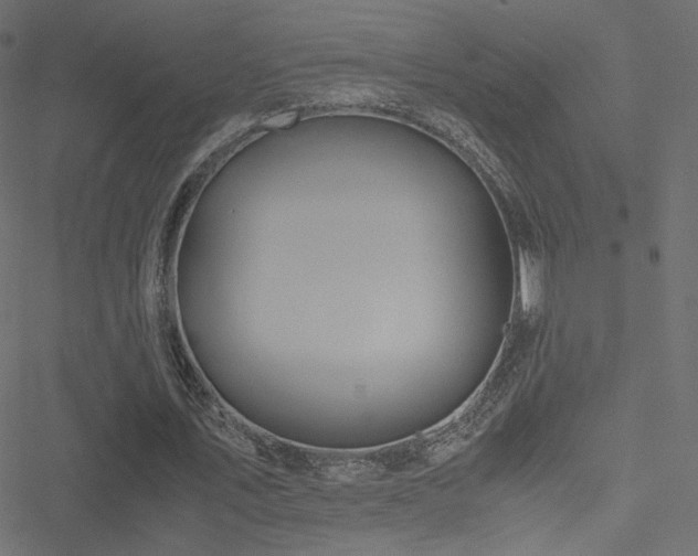 X0000051250579200506171138