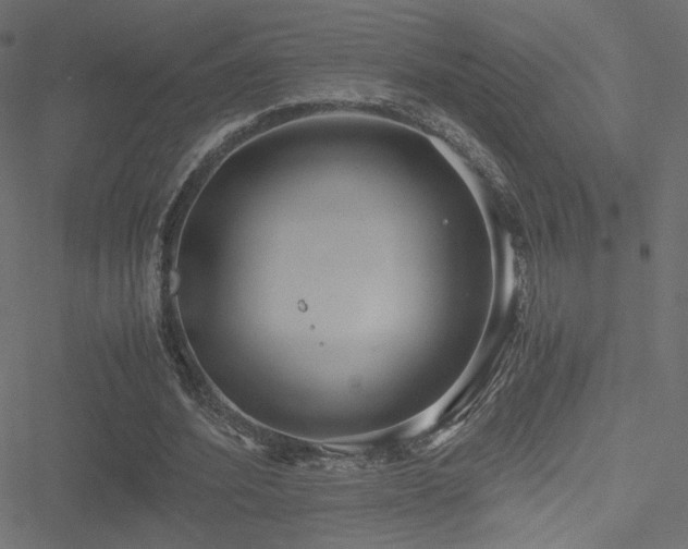 X0000051250580200506171138