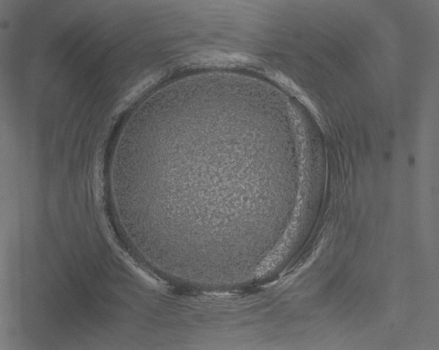 X0000051250581200506171138