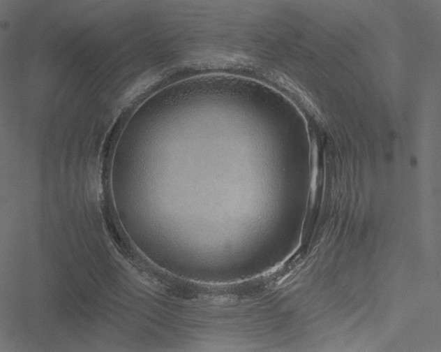 X0000051250582200506171138