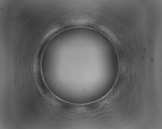 X0000051250583200506171138