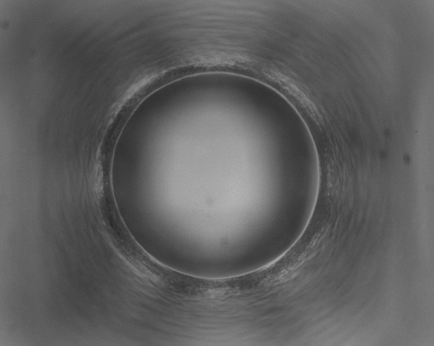 X0000051250584200506171138