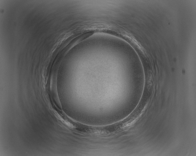 X0000051250585200506171138